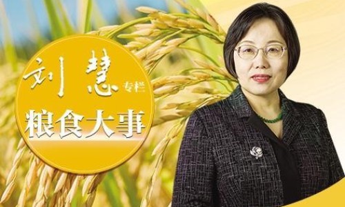 沙苑子的危害-沙苑子有什么副作用和毒性?长期服用需要注意什么?、沙苑子有什么副作用和禁忌 -沙苑子有什么副作用网