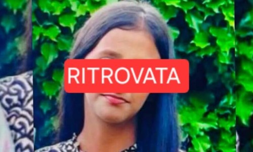 沙苑子有什么副作用和毒性?长期服用需要注意什么?、沙苑子有什么副作用和禁忌 -沙苑子有什么副作用网