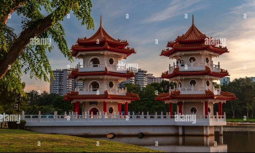 沙苑子有什么副作用和毒性?长期服用需要注意什么?-沙苑子有什么副作用和毒性?长期服用需要注意什么?、沙苑子有什么副作用和禁忌 -沙苑子有什么副作用网